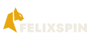 FelixSpin